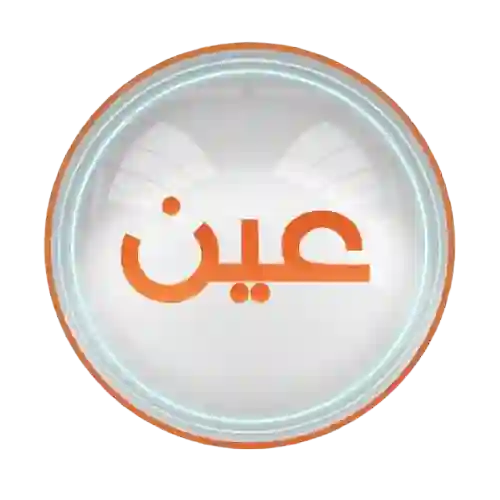 شبكة عين التعليمية